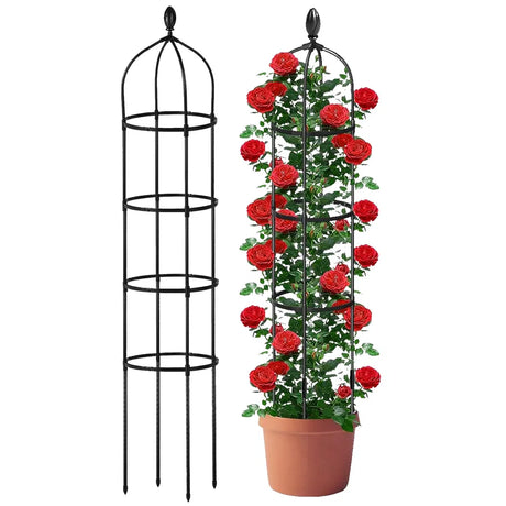 Black metal plant trellis with a potted plant of red roses on a white background