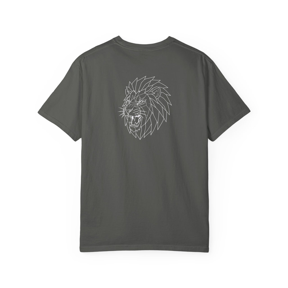 Gray Lion Tee T-shirt featuring geometric lion graphic and the phrase "King Is a Standard. Not a Title." in bold print.