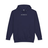 Gray lion hoodie from Printify's geometric animal series with the slogan "King Is a Standard Not a Title" displayed on front.